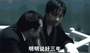朱丹怀二胎zt