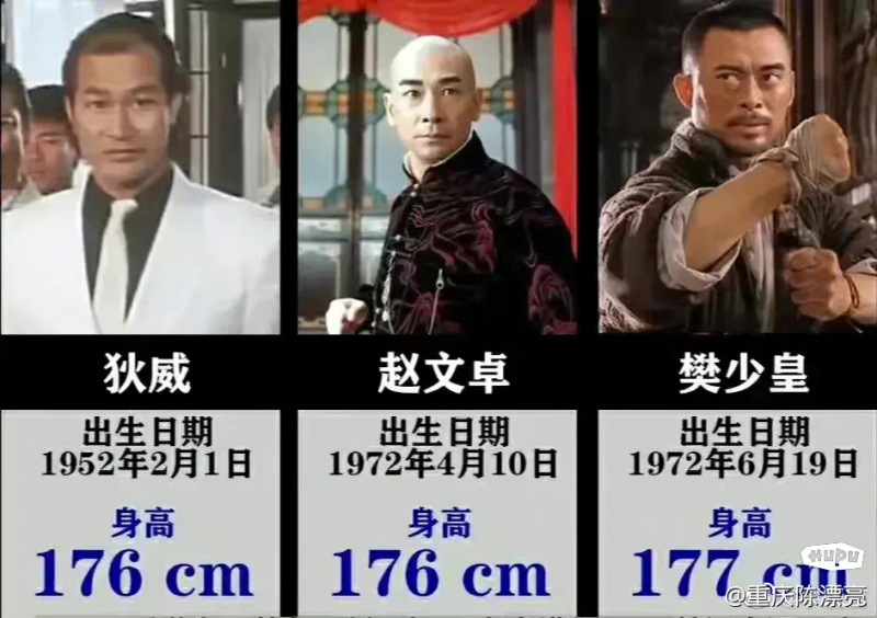 为什么练武的人身高都不是太高呢 李连杰169cm 甄子丹169cm 虎扑