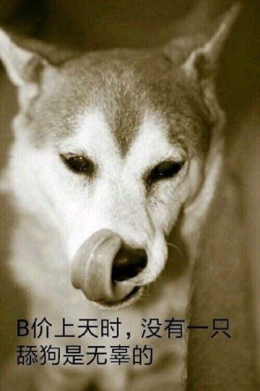 交出你们的动物头像_虎扑