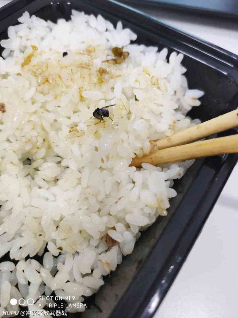 外卖里有一只苍蝇,什么水平?